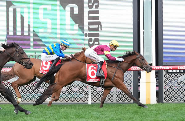 Sisstainable wins at The Valley - image Scott Barbour / Racing Photos
