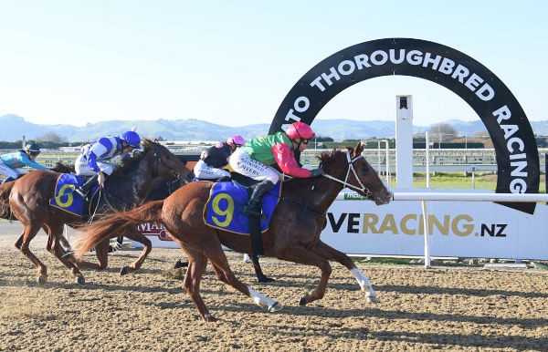 Sister Ping winning at Cambridge on Wednesday. Photo: Kenton Wright (Race Images)