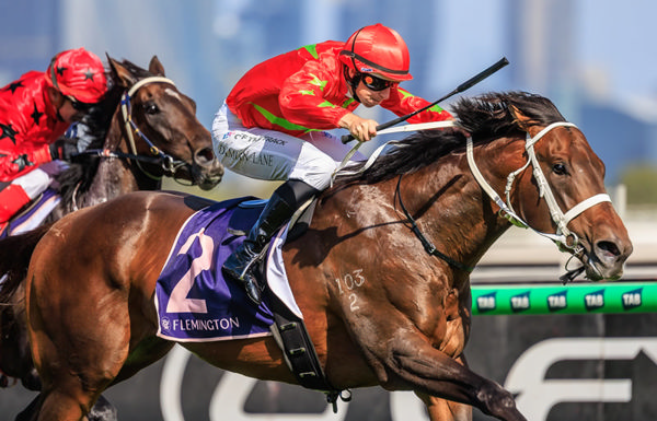 Sixties is a horse on the up - image Grant Courtney