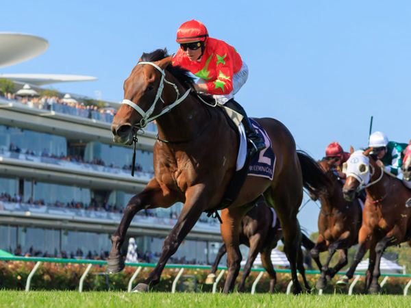 Sixties powers clear to win the G3 CS Hayes Stakes - image Grant Courtney