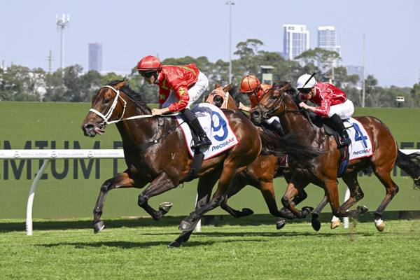 Sixties cruises clear to win at Rosehill - image Bradley Photos