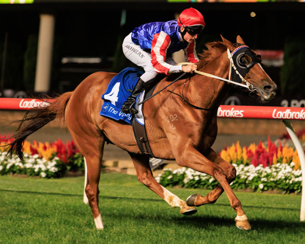 Skelm off to the Adelaide cup (image Grant Courtney)