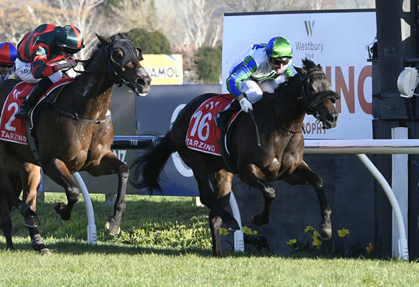 Skew Wiff wins her first G1 - Photo: Peter Rubery (Race Images Palmerston North)