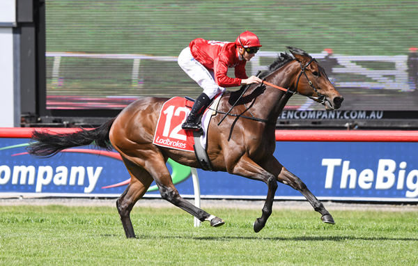 Skidamarink won in a breeze at Sandown - image Pat Scala / Racing Photos