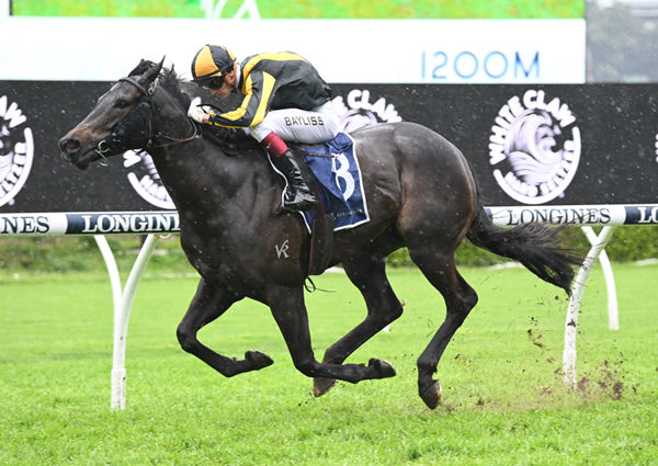 Sky Command scored a deserved stakes win in the G3 The Nivison - image Steve Hart