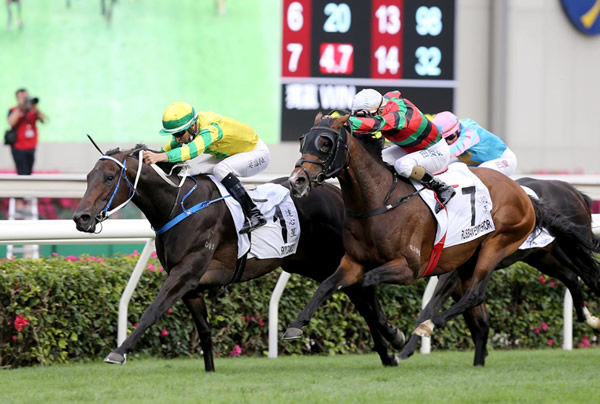 Sky Darci beats Russian Emperor in the Hong Kong Derby - image HKJC 