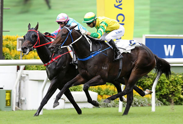 Sky Darci beats Healthy Happy in a thrilling finish - image HKJC 