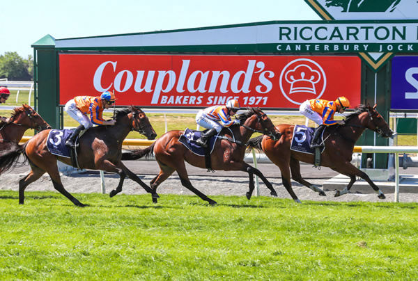 Sky On Fire will be one of three runners for trainer Mark Walker in the Gr.2 J Swap Contractors Matamata Breeders' Stakes (1200m) on Saturday. Photo: Race Images South