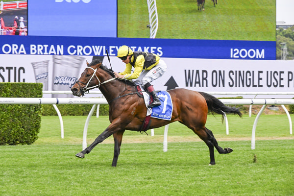 Skyglider wins the Listed Sir Brian Crowley Stakes - image Bradley Photos