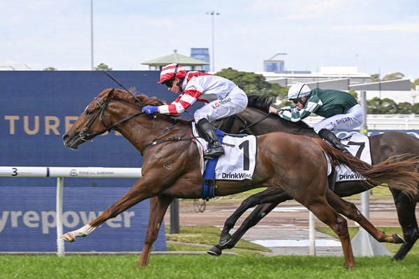 Second Black Type Victory For Written Tycoon's Skyhook - Image Bradley Photos
