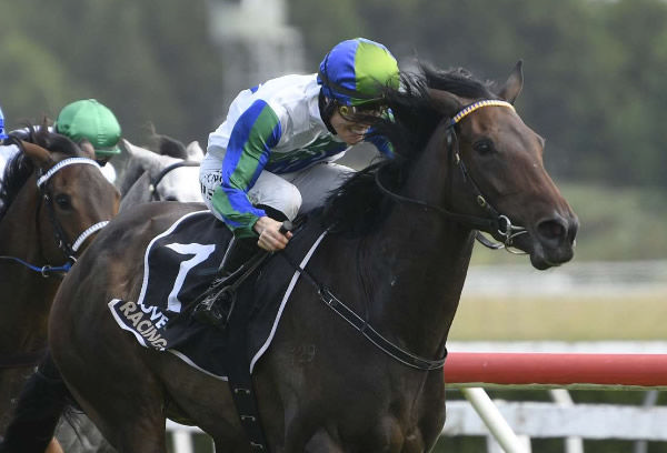 Smart Love winning the Fresh Choice Leamington 3YO (1600m) at Te Rapa on Saturday.  Photo: Kenton Wright (Race Images) 