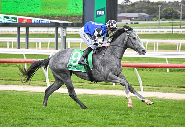 Smashing Lad wins easily at Warrnambool - image Reg Ryan / Racing Photos