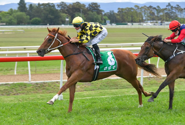 Smirnova makes it two wins from two starts at Hawkesbury - image Hawkesbury Race Club Twitter  