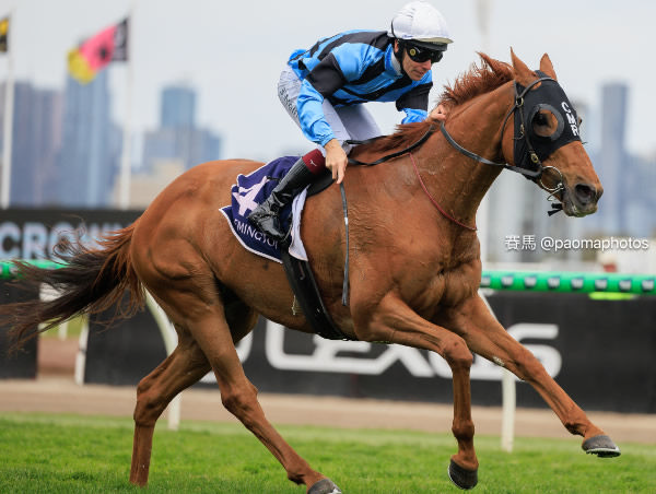 Smokin’ Romans broke a two year drought with a win in Saturday’s A$300,000 Gr.3 Queen Elizabeth Stakes (2600m) at Flemington - image Grant Courtney