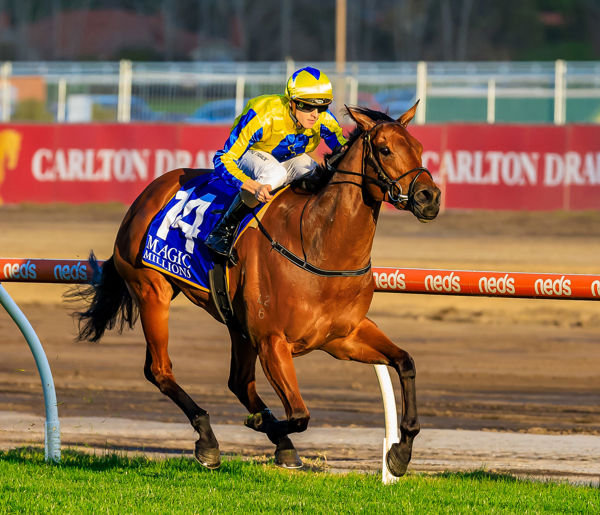 A second Group 1 for Snapdancer (image Grant Courtney)
