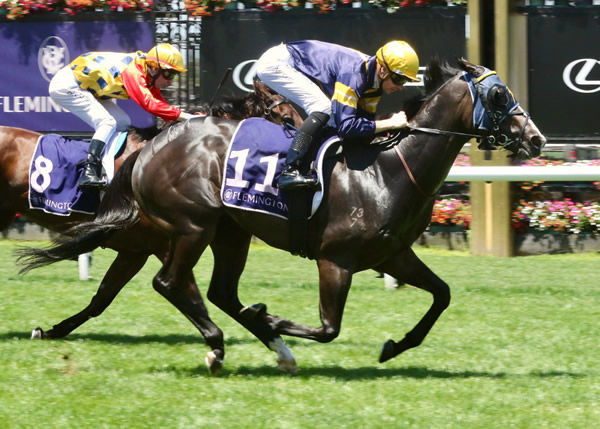 Snapper takes out the Gr.3 Standish Handicap (1200m) at Flemington Photo Credit: Darryl Sherer