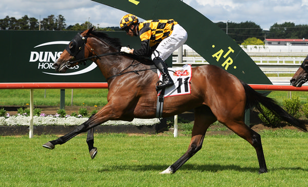 Snazzytavi continued her rise to higher targets with victory in the Stella Artois Championship Final (1500m) at Pukekohe Park. Photo: Kenton Wright (Race Images)