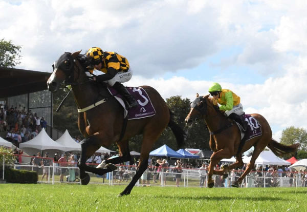 Snazzytavi winning at Matamata on Saturday.   Photo: Kenton Wright (Race Images)