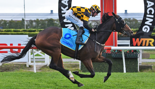 Snazzytavi dominates a competitive line-up to win the time-honoured Gr.3 Manco Easter Handicap (1600m) on Saturday at Te Rapa.   Photo: Kenton Wright (Race Images)