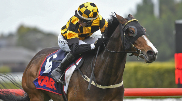 Snazzytavi winning at Te Rapa on Friday.  Photo: Kenton Wright (Race Images)