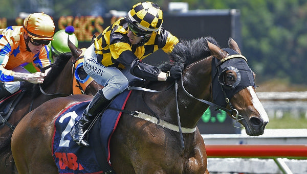 Snazzytavi winning Saturday’s Gr.2 Cal Isuzu Stakes (1600m) at Te Rapa.   Photo: Kenton Wright (Race Images)