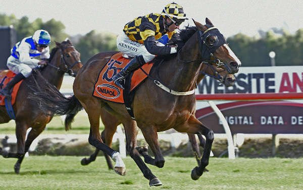 Snazzytavi winning the Gr.1 Livamol Classic (2040m) at Te Rapa on Saturday.  Photo: Kenton Wright (Race Images)