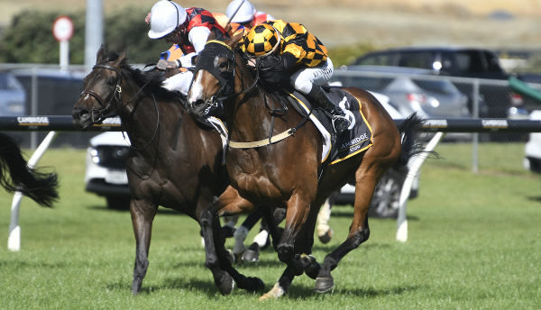 Snazzytavi (outside) narrowly defeated La Crique to take out the Gr.1 Cambridge Stud Zabeel Classic (2000m) on Boxing Day.  Photo: Kenton Wright (Race Images)