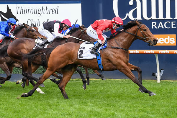 Sneaky Five wins the G3 Thoroughbred Club Stakes - image Reg Ryan/ Racing Photos