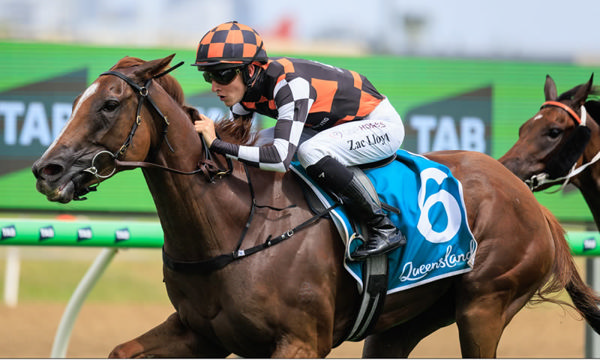 Snitzanova wins a top class renewal of the MM Subzero - image Grant Courtney  