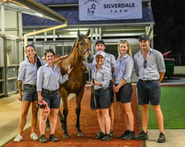 $1.6million Snitzel filly from Sweet Sherry - image Magic Millions