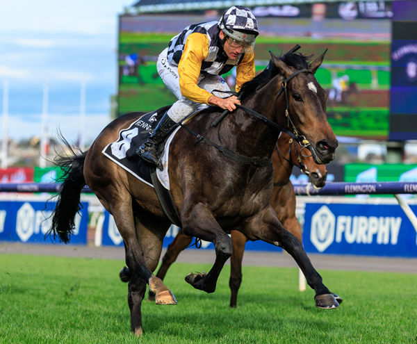 So Dazzling wins the Oaks Preview - image Grant Courtney