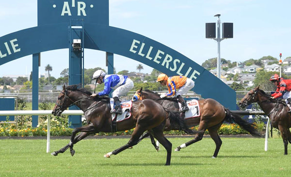 So Naive winning at Ellerslie on Sunday.   Photo: Kenton Wright (Race Images)