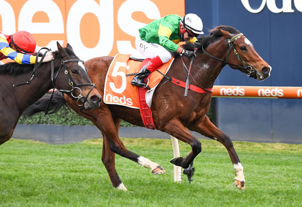 So You Assume wins at Caulfield - image Pat Scala / Racing Photos