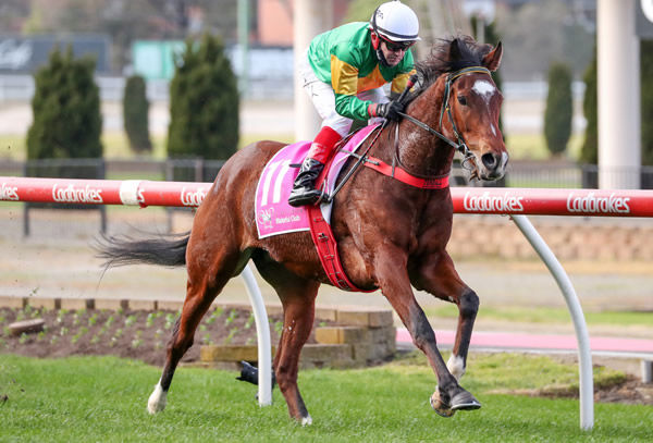 So You Assume cruises home alone at Moonee Valley - image George Salpigtidis / Racing Photos
