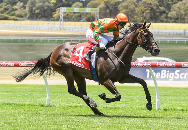 So You See wins in style at Sandown - image Brett Holburt / Racing Photos