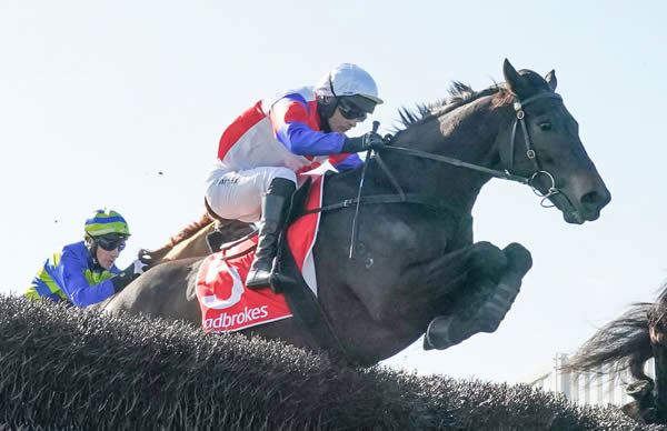 Social Element on his way to winning the Crisp Steeplechase (4200m) earlier this month. Photo: Scott Barbour (Racing Photos)