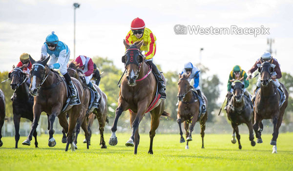 Solaia opens her stakes account (image Western Racepix - Twitter