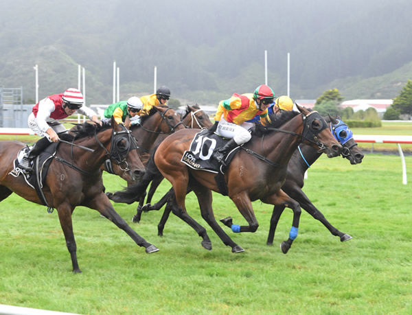 Quality four-year-old Soldier Boy (yellow silks) took out the Listed JAPAC Homes Marton Cup (2200m) at Trentham on Saturday Photo: Race Images PN (Grant Matthew) 