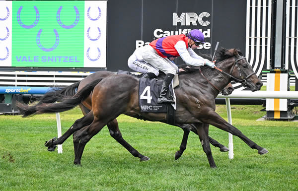 Sonofkirk scores a miraculous win at Caulfield - image Reg Ryan - Racing Photos