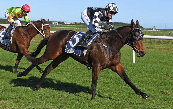 Sophmaze takes out the Listed John Turkington Forestry Ltd Castletown Stakes (1200m) at Waverley Photo credit: Race Images – Grant Matthew