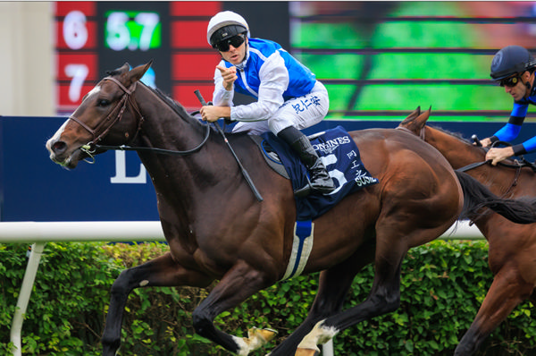 Sosie wins the G1 HK International Vase - image Grant Courtney