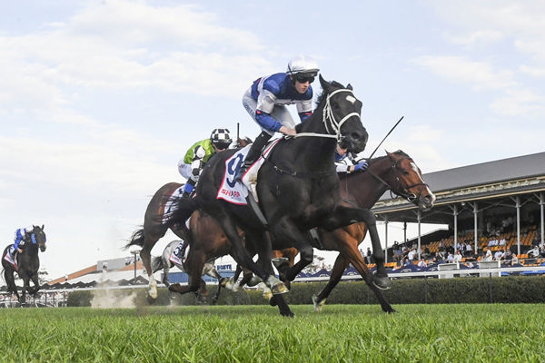 First Stakes Success For Soul Of Spain, Winning The G3 Newcastle Gold Cup - Image Bradley Photos