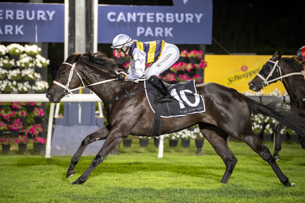 Breeding to Win - 2026 G1 Queensland Oaks