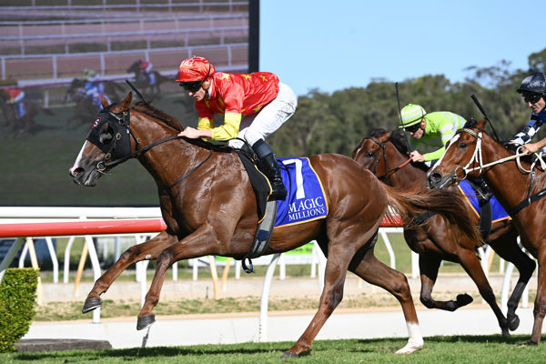 Sovereign Fund won the Wyong 2YO Classic on debut and went two for two at Doomben - image Steve Hart