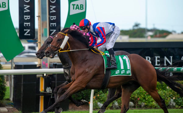 Soxagon wins his first stakes race - image Racing Queensland
