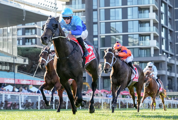Space Rider is a winner at The Valley - image George Sal/ Racing Photos