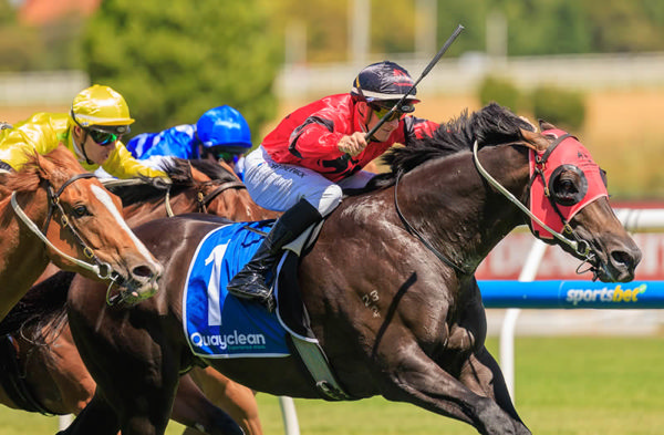 Space Rider gets serious about winning - image Grant Courtney