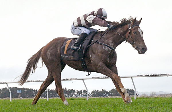 Spandeedo winning the Simon Bendall @ Metcalfe Real Estate (1200m) at Foxton on Tuesday.   Photo: Peter Rubery (Race Images Palmerston North)