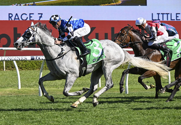 Spangler wins the $750,000 Little Dance on Cup Day at Randwick - image Steve Hart