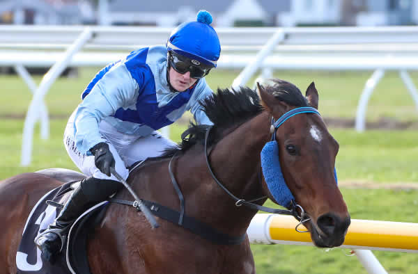 Russell McKay with Spartan and Tegan Newman after winning the Ripple Creek Equine Polytrack $100,000 (1200m) at Riccarton Park Synthetic.   Photo: Race Images South